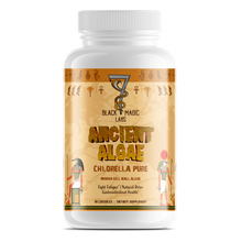 Load image into Gallery viewer, Ancient Algae